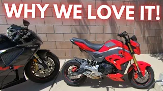 5 THINGS WE LOVE ABOUT THE HONDA GROM!