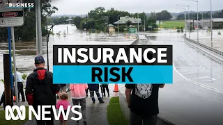 Flood insurance costs set to run into billions of dollars | The Business | ABC News