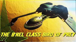 (182)The B'rel Class Klingon Bird Of Prey