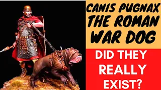 The Roman WAR DOG - Canis Pugnax.  How they were used?  Did they really exist?