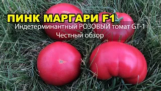 Индетерминантный РОЗОВЫЙ томат ПИНК МАРГАРИ F1 (ДЖИТИ-ИР1). Честный обзор