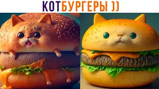 КОТБУРГЕРЫ ))) Приколы с котами | Мемозг 1200