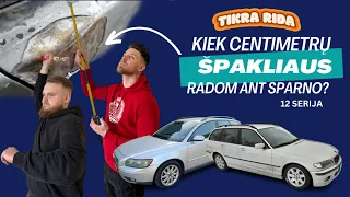 Tikra Rida: Kiek centimetrų špakliaus radom ant sparno?