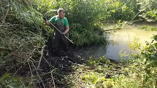 Expedition #35 | Beaver dam removal. Tricky one. Bushes and trees inside channel.