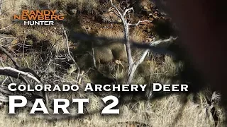 2018 Colorado Archery Deer with Randy Newberg (Part 2)