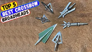 Best Crossbow Broadheads for 2024 - Top 5 Crossbow Broadhead Reviews!