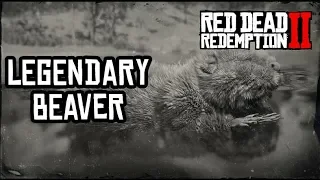 Red Dead Redemption 2 Legendary Beaver Location and Hunting. Легендарный бобёр