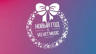 Артисты Velvet Music поздравляют всех с Новым годом!