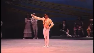 Don Quijote - Viengsay Valdés Carlos Acosta Act 3