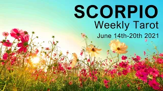 SCORPIO "AN OPPORTUNITY OFFERS FINANCIAL GAIN SCORPIO" Weekly Tarot Reading - June 14th-20th 2021