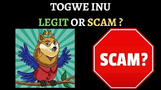 TOGWE INU TOKEN COIN CRYPTO SCAM ALERT ! BE CAREFUL !!