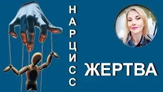 Может ли нарцисс стать жертвой?