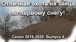 Отличная охота на зайца по первому снегу! Сезон 2019-2020. Выпуск 4