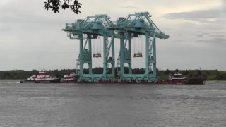 JAXPORT cranes underneath I-295 Dame Point Bridge 170611