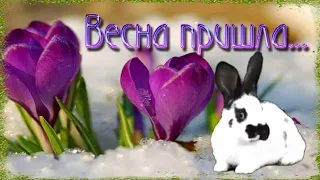 С Первым Днём Весны! ☀️ Очень Красивая Музыкальная Открытка! 💖