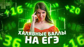 +17 баллов за ЕГЭ Профиль ЛЕГКО | Лайфхаки сдачи ЕГЭ 2021 по математике