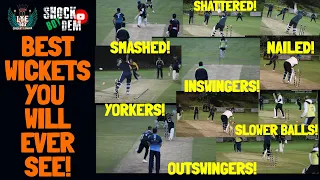 THE BEST WICKETS YOU WILL EVER SEE! | Yorkers Inswingers Outswingers | Lye T10 Cricket League 2020