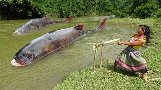 Primitive Life - Smart Girl's Unique Fishing Catch 2 Giant Fish - Cooking Big Fish For Food