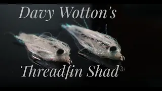 Davy Wotton's Threadfin Shad