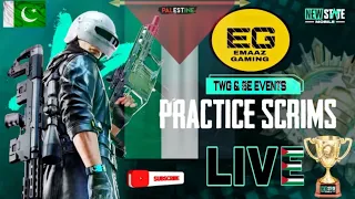 EVERY MATCH WWCD CHALLENGE IN MENA SCRIMS 😱|TMG ESPORTS| New State Mobile |EMAAZ GAMING♥️🇵🇰