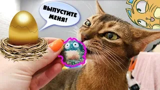 ЯЙЦА ИЗ МАГАЗИНА ОКАЗАЛИСЬ ВОЛШЕБНЫМИ! ЗОЛОТЫЕ КОТЯТА ВЫЛУПИЛИСЬ ИЗ ЯИЦ! СЛАДУН В ШОКЕ!