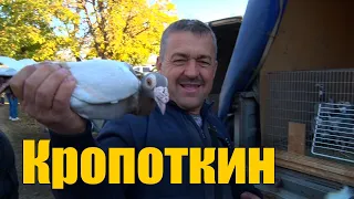 Птичий рынок. Кропоткин. Часть 2. [29.10.2023]