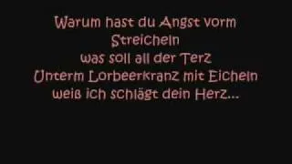 Die Ärzte   Schrei nach Liebe with lyric