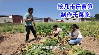 莴笋吃不完，全家一起挖莴笋，公婆打算做成干菜，可以吃一年都不坏