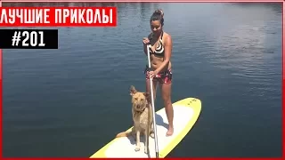 ПРИКОЛЫ 2017 Декабрь #201 ржака до слез угар прикол - ПРИКОЛЮХА