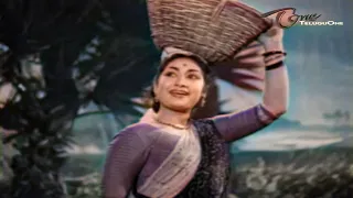 Kalasi Vunte Kaladu Sukham | Mudda Banthi Poolu Colorized Song| NTR, Savitri Old Telugu Songs