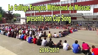 CLIP Cup Song Collège F.Mittérand de Moissac 82