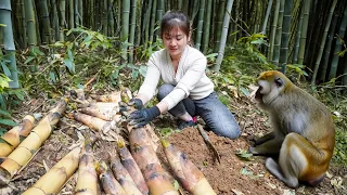 Harvesting Bamboo Shoot In The Forest Goes To Market Sell | Live with nature | Nhất My Bushcraft