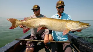 Top Water Muskies on Leech Lake - In Depth Outdoors TV S16 E18