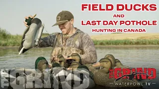 50 Field Ducks And Last Day Pothole Hunt in Canada! THE GRIND S12: E2