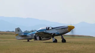 P-51 Mustang (Memorial Air Show 2022)