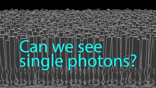 Can we see single photons?