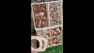 How to make your own Bug hotel