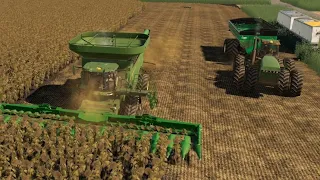 Lincoln Creek EP#7 | Corn, Sunflower Harvest | FS19 Timelapse | Farming Simulator 19 Timelapse