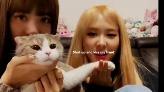 LiChaeng playing(annoying) with Lisa's cats for 6 minutes straight