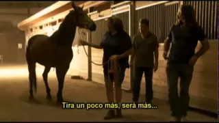 El Domador De Caballos · Jack, Forest, Holy y Mr. Mum