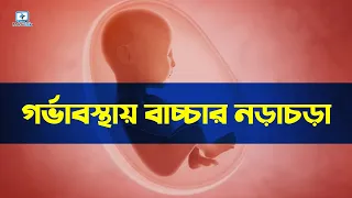 গর্ভাবস্থায় শিশুর নড়াচড়া - Baby Movement During Pregnancy