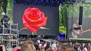 The Rose at British Summer Time (BST) full video