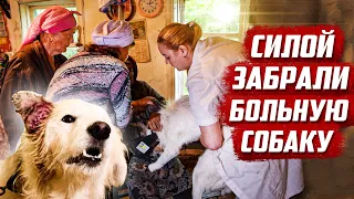 ДЕТЯМ и СЛАБОНЕРВНЫМ не смотреть! | Оренбургская обл, Бугурусланский р/н д.Алга