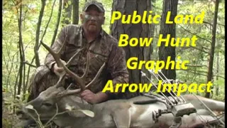 Hunting Public Land Early Season Bow Hunt Self Filmed Arkansas Ozark Mountains