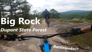 Dupont State Forest, NC - Big Rock MTB Trail. First Time Seeing a “Rattler Snake”!