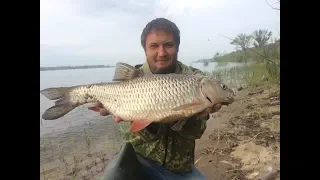 Весенняя Рыбалка с Берега на Реке Волге Ловля Голавля на Донку Фидер