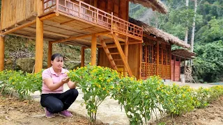 Full video: my daily work on the farm - grow flower - Ly Nhe