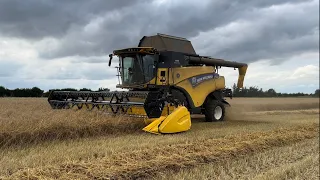 BenAdamsAgri - Harvesting Oats and Peas!