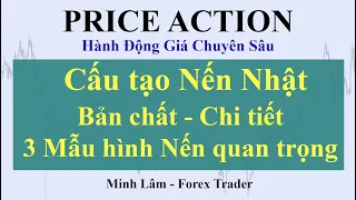 Price Action Bài 3: Cấu Tạo Nến Nhật Chi Tiết, Bản Chất - 3 Mẫu Hình Nến Quan Trọng