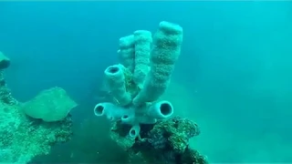 Palau - Glimpses of wreck diving